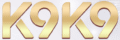 K9K9